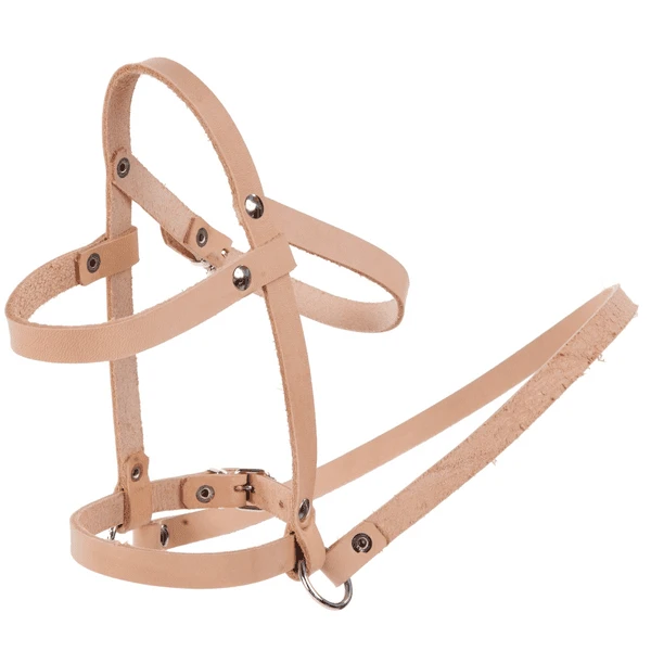 Helga Kreft Halster Voor Hobbelpaard Jolly Popcorn 1 Helga Kreft Halster Voor Hobbelpaard Jolly Popcorn