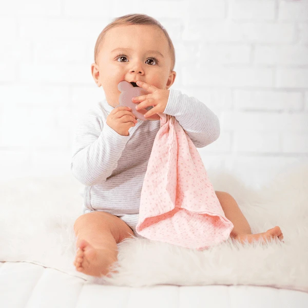 Nattou Bijtring + Knuffeldoekje Roze 2 Nattou Bijtring + Knuffeldoekje Roze - Afbeelding 2