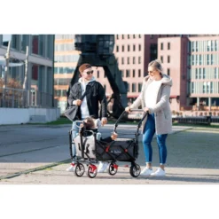 Pinolino Opvouwbare Bolderkar AddPlus Met Rem Grijs Gevlekt 9 Pinolino Opvouwbare Bolderkar AddPlus Met Rem Grijs Gevlekt -Speelgoed Voor Kinderen pinolino opvouwbare bolderkar addplus met rem grijs gevlekt a309344 4